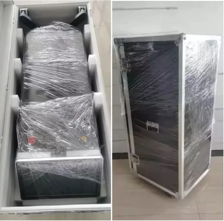 laser hair removal D2 (100)